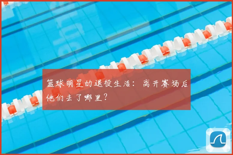 篮球明星的退役生活：离开赛场后他们去了哪里？