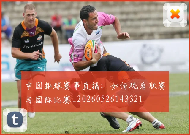 中国排球赛事直播：如何观看联赛与国际比赛_20260526143321