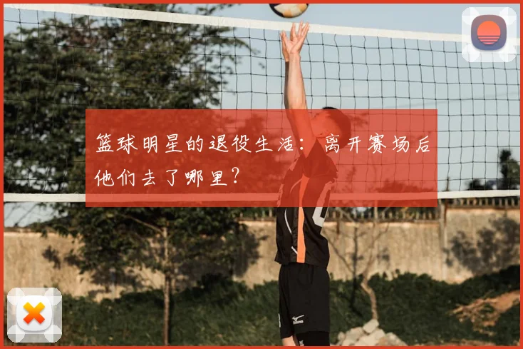 篮球明星的退役生活：离开赛场后他们去了哪里？